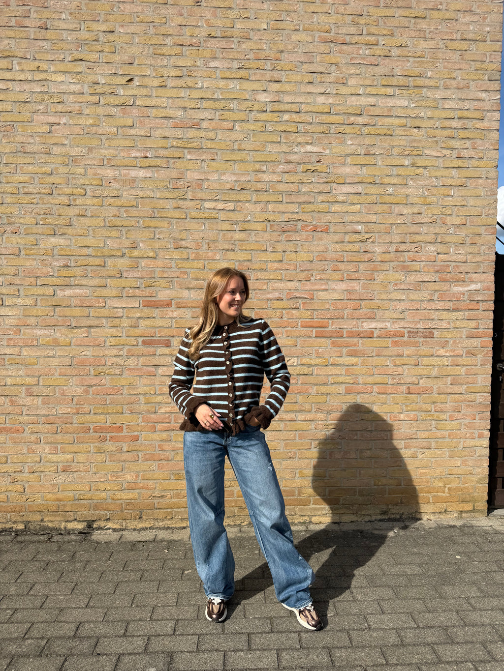Mara Vest - Bruin / Blauw